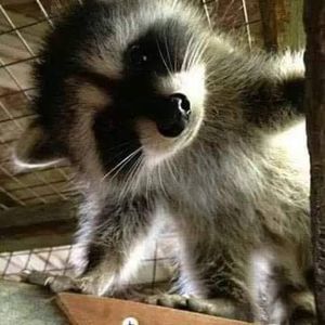 Meet your Posher, Teri